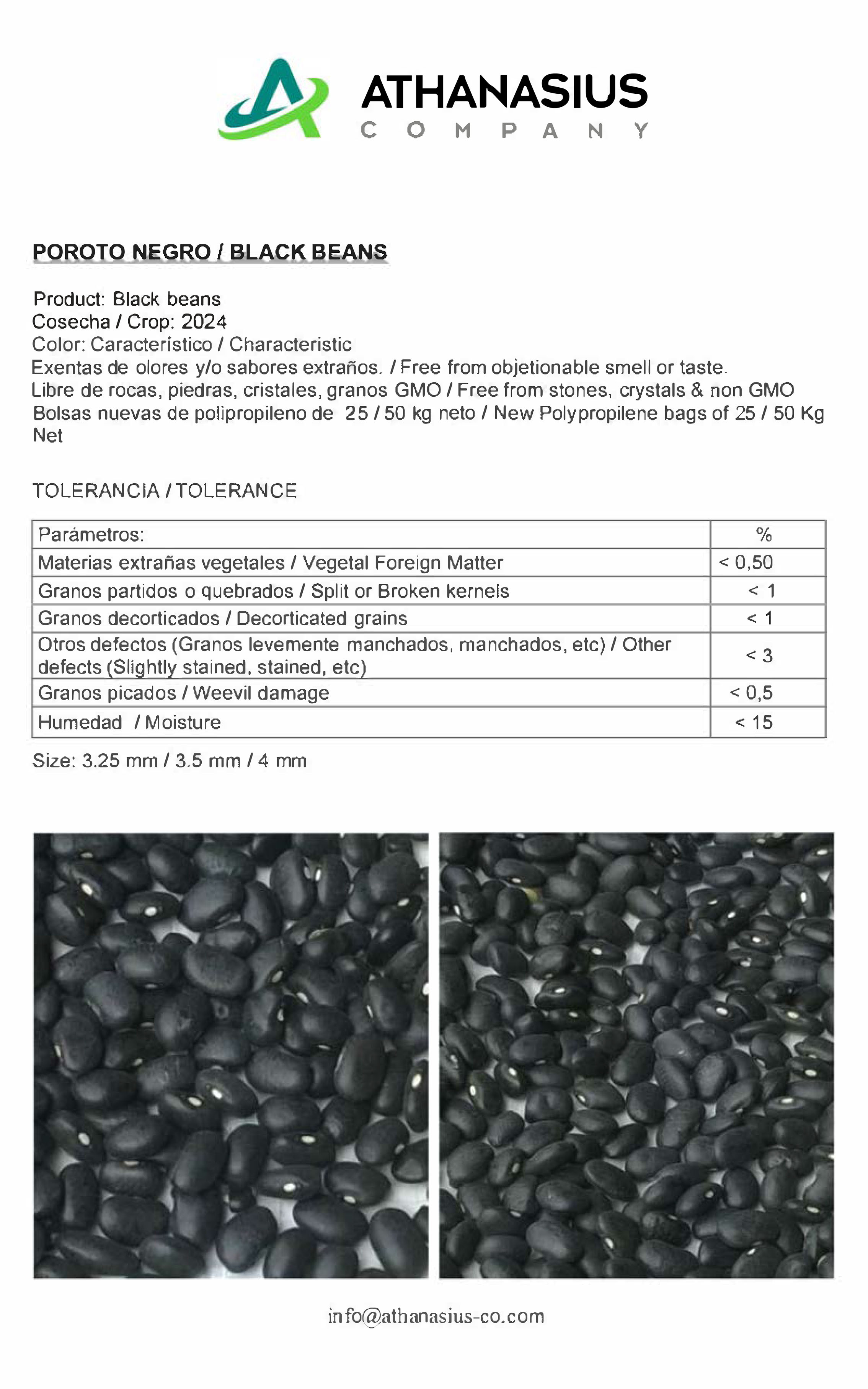 Poroto Negro
